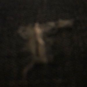 Meet your Posher, Jesus